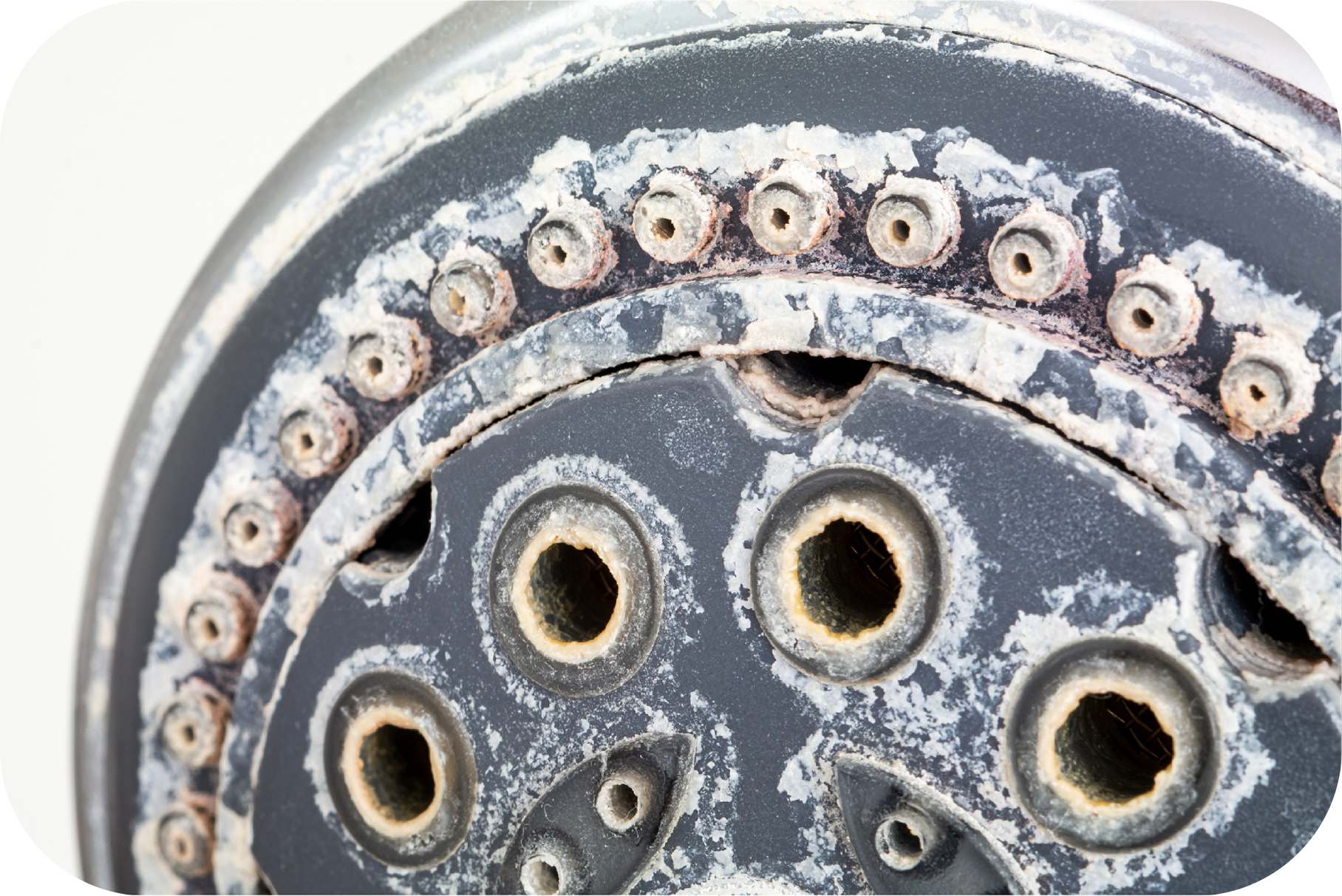 Hard crusty water on shower head, showing scale build up from mineral deposits typical with very hard water.